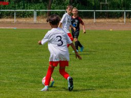 Hillen Cup 2024